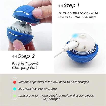 Pelota de juguete interactiva para perros y gatos - Serale